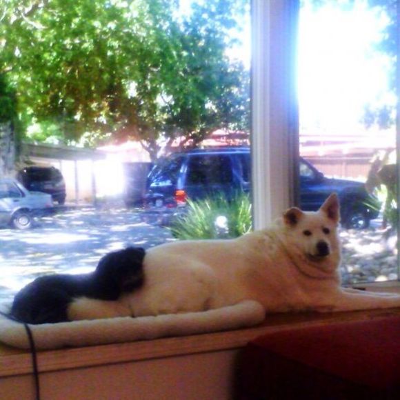 Meet your Posher, Ellyn - Picture 1 of 1